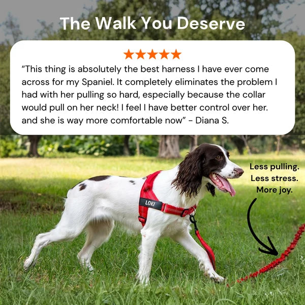Oname No Pull Dog Harness