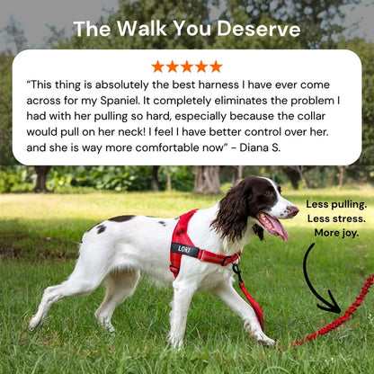 Oname No Pull Dog Harness