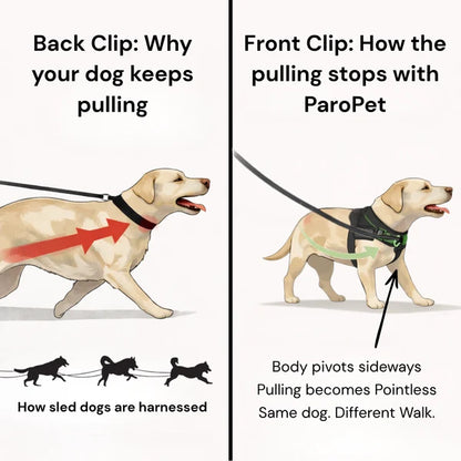 Oname No Pull Dog Harness