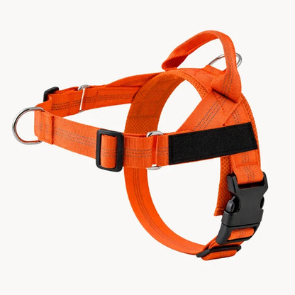 Oname No Pull Dog Harness
