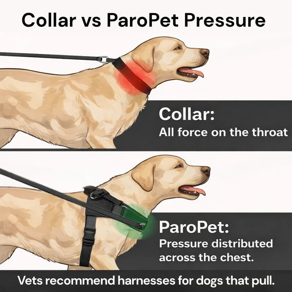 Oname No Pull Dog Harness
