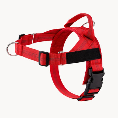 Oname No Pull Dog Harness