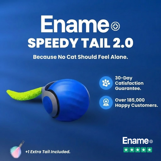 Ename | COLA VELOZ 2.0
