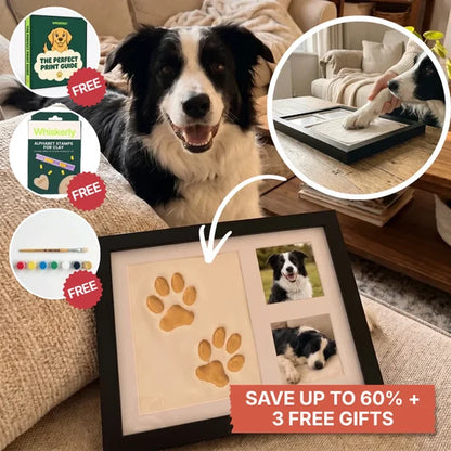 The Clay Paw Print Bundle