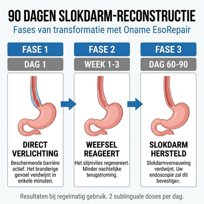oname EsoRepair™ | Nano-Sublinguale Slokdarmhersteller.