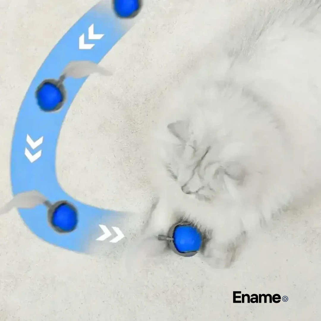 Ename | COLA VELOZ 2.0
