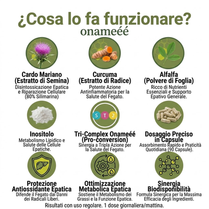 Oname EpatoReset | Cancella 20 anni di accumuli tossici in 90 giorni.