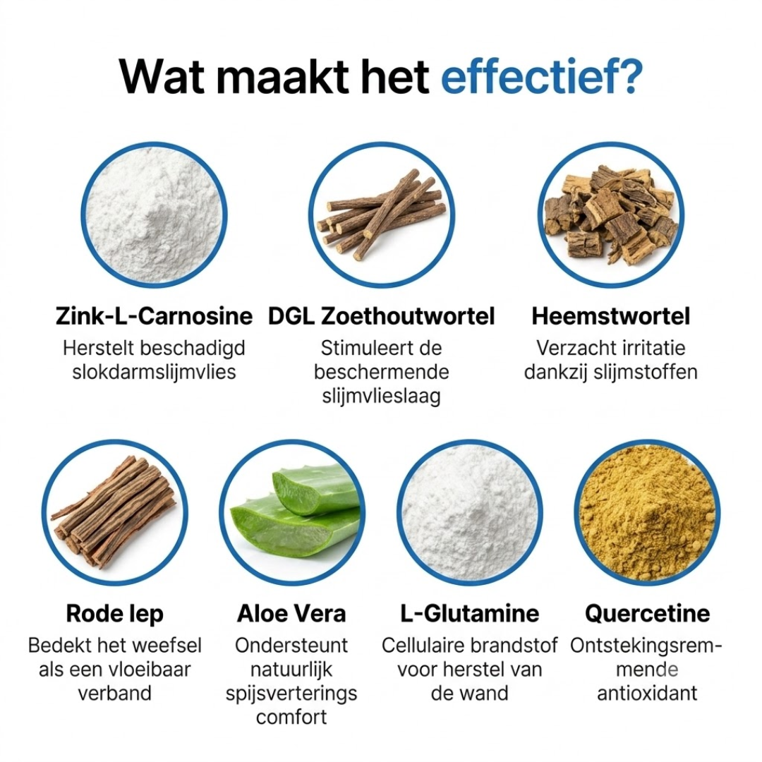 oname EsoRepair™ | Nano-Sublinguale Slokdarmhersteller.