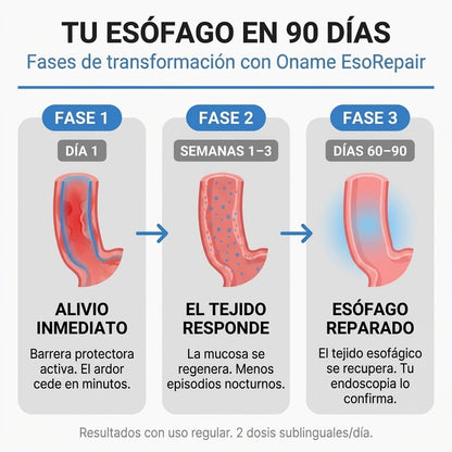 Oname EsoRepair™ | Fórmula nano-líquida que repara el tejido esofágico