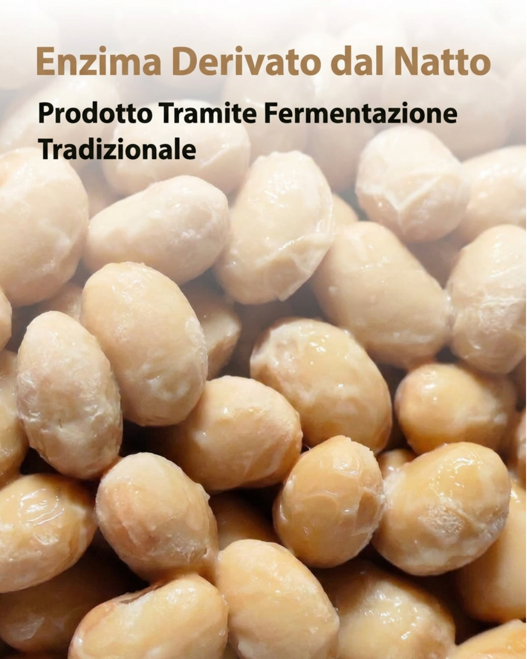 Oname  | Complesso di nattokinasi 12.000 FU - 60 capsule vegetariane