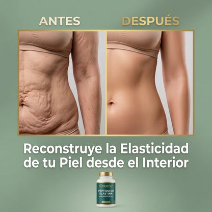 Reafirma la piel flácida de forma natural con péptidos de elastina marina.