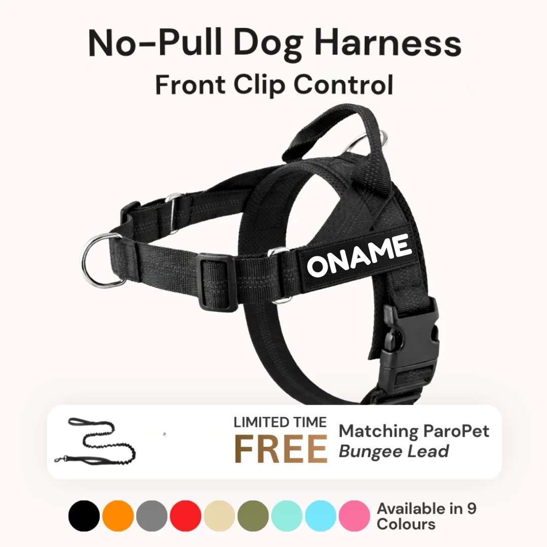 Oname No Pull Dog Harness