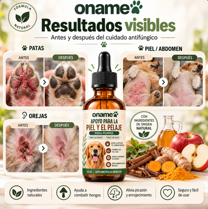 Fórmula Veterinaria Natural para Eliminar Hongos en Perros