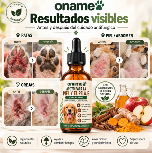 Fórmula Veterinaria Natural para Eliminar Hongos en Perros