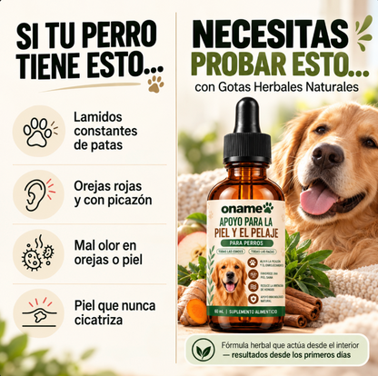 Fórmula Veterinaria Natural para Eliminar Hongos en Perros
