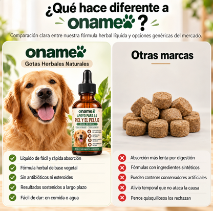 Fórmula Veterinaria Natural para Eliminar Hongos en Perros