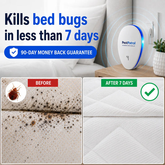 PestPatrol - Stop Bed Bugs Before They Take Over Your Home