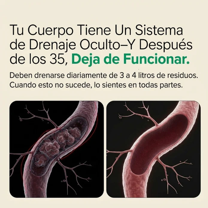 Nueva Fórmula de Máxima Potencia – Cápsulas de Drenaje Linfático