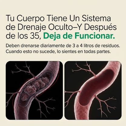 Nueva Fórmula de Máxima Potencia – Cápsulas de Drenaje Linfático