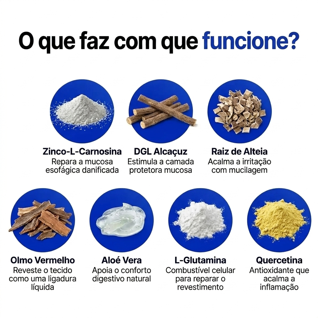 Oname EsoRepair™ | Reparador esofágico nano-sublingual