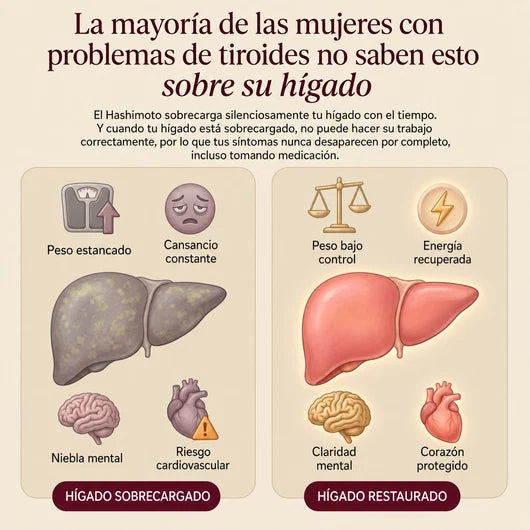 Oname® | Gotas para el equilibrio tiroideo