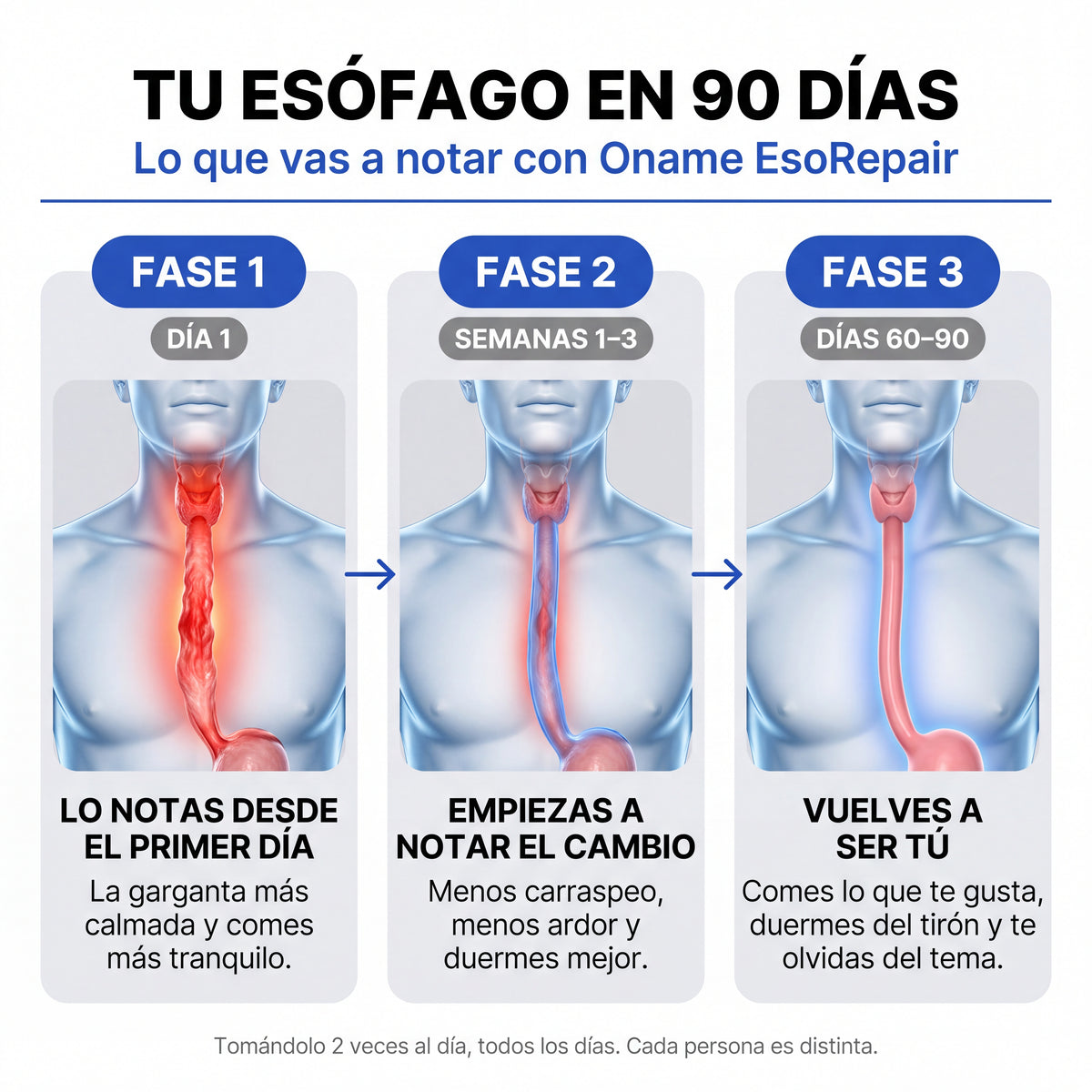 Oname EsoRepair™ | Fórmula nano-líquida que repara el tejido esofágico