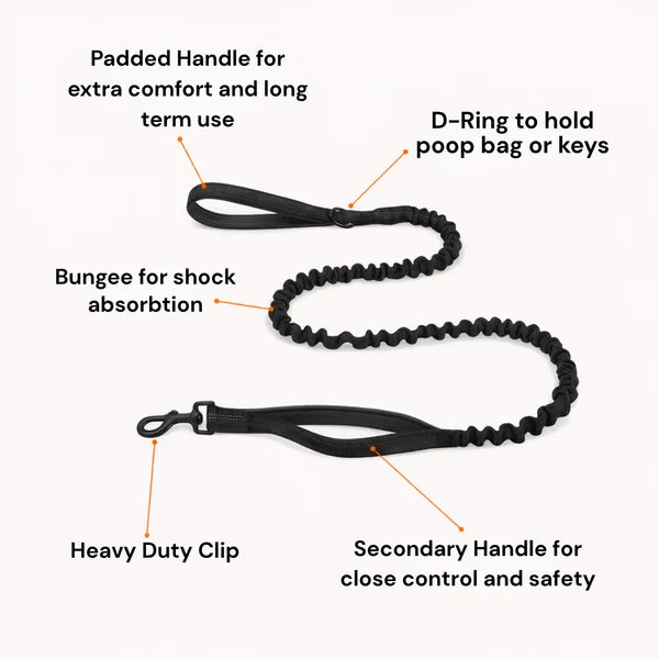 Oname No Pull Dog Harness